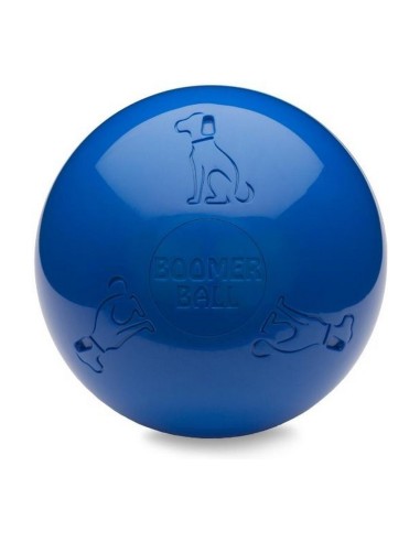 Jouet pour chien Company of Animals Boomer Bleu (200mm)