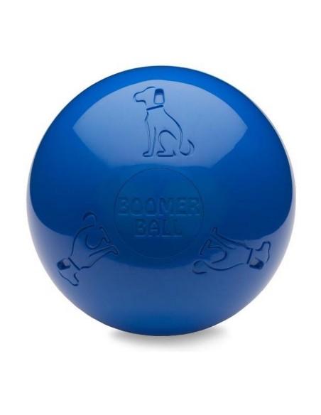 Jouet pour chien Company of Animals Boomer Bleu (200mm)