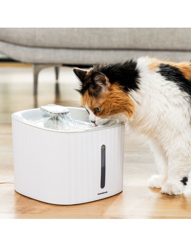 Fontaine pour Animaux de Compagnie Drinkatt InnovaGoods