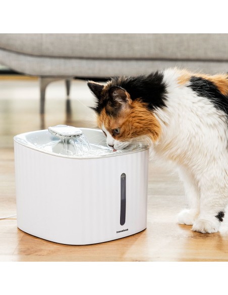 Fontaine pour Animaux de Compagnie Drinkatt InnovaGoods