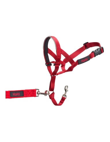 Collier d'entraînement pour chiens Company of Animals Halti Muselière (31-40 cm)