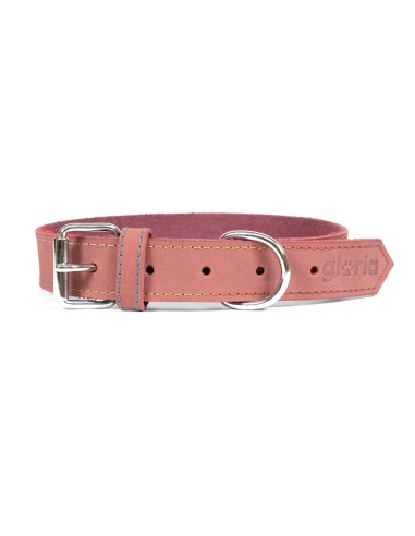 Collier pour Chien Gloria Oasis Rose (1,2 x 35 cm)