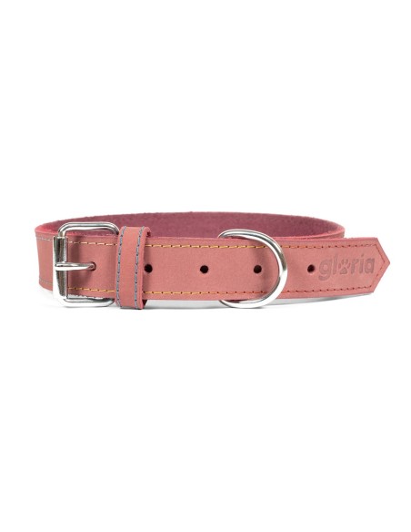 Collier pour Chien Gloria Oasis Rose (1,2 x 35 cm)