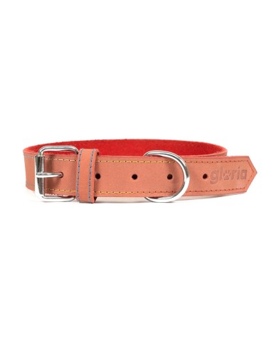 Collier pour Chien Gloria Oasis Rouge (1,5 x 40 cm)