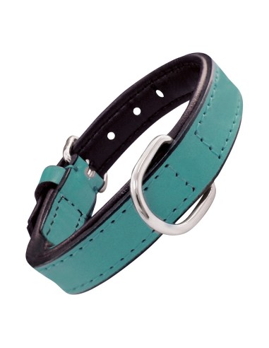 Collier pour Chien Gloria Rembourré Turquoise (30 x 1,5 cm)