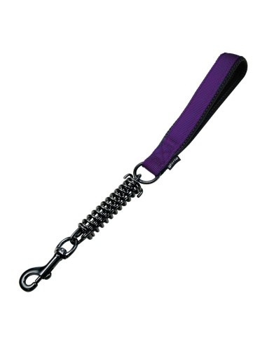 Laisse pour Chien Gloria 41 cm Violet