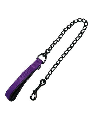 Laisse pour Chien Gloria Classic 4mm x 60 cm Violet