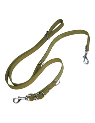 Laisse pour Chien Gloria Oasis Multiple 2.1 x 200 cm Vert