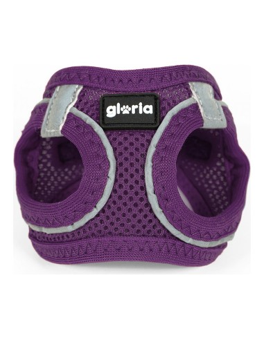 Harnais pour Chien Gloria Air Mesh Trek Star Réglable Violet Taille XXXS (18-20 cm)