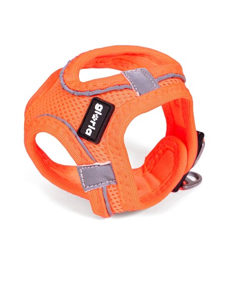 Harnais pour Chien Gloria Air Mesh Trek Star Réglable Orange Taille L (33,4-35 cm)