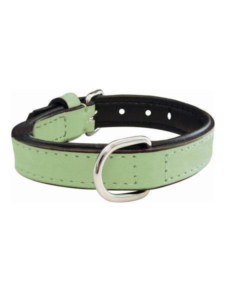 Collier pour Chien Gloria Rembourré Vert (35 x 1,5 cm)