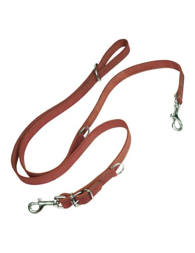 Laisse pour Chien Gloria Oasis Multiple 2.1 x 200 cm Rouge