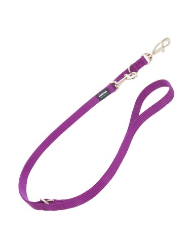 Laisse pour Chien Red Dingo Violet (1,5 x 200 cm)