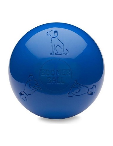 Jouet pour chien Company of Animals Boomer Bleu (150mm)