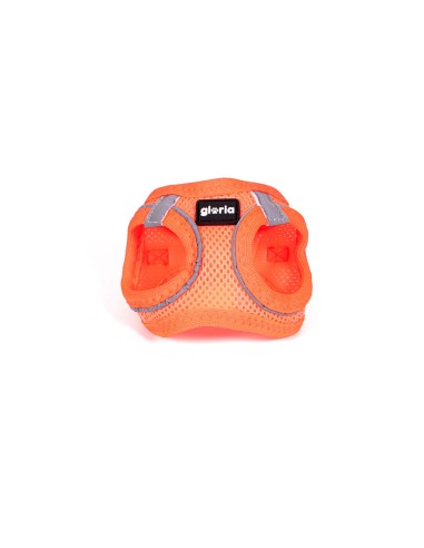 Harnais pour Chien Gloria Trek Star 24-26 cm 28-28,6 cm Orange XXS