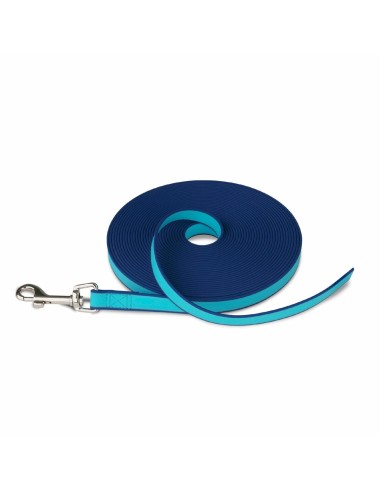 Laisse pour Chien Coachi Formation Bleu