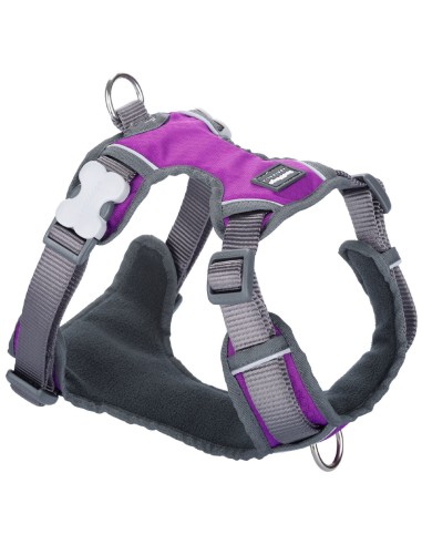 Harnais pour Chien Red Dingo Dingo 25-36 cm 31-43 cm Violet XS