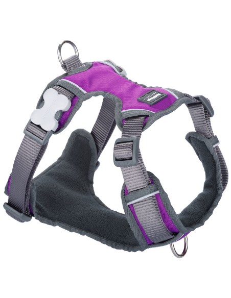 Harnais pour Chien Red Dingo Dingo 25-36 cm 31-43 cm Violet XS