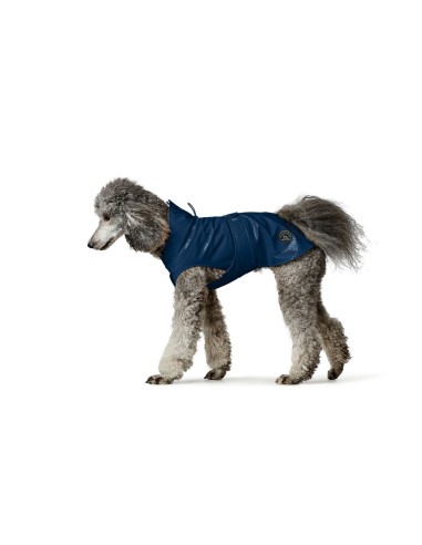 Manteau pour Chien Hunter Milford Bleu 25 cm