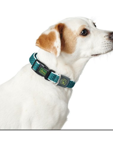 Collier pour Chien Hunter Basic Fil Bleu 20