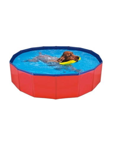 Piscine Démontable Nayeco Chien