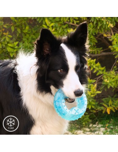 Jouet à Mordre 2 en 1 Congelable pour Animaux de Compagnie Glubiz InnovaGoods