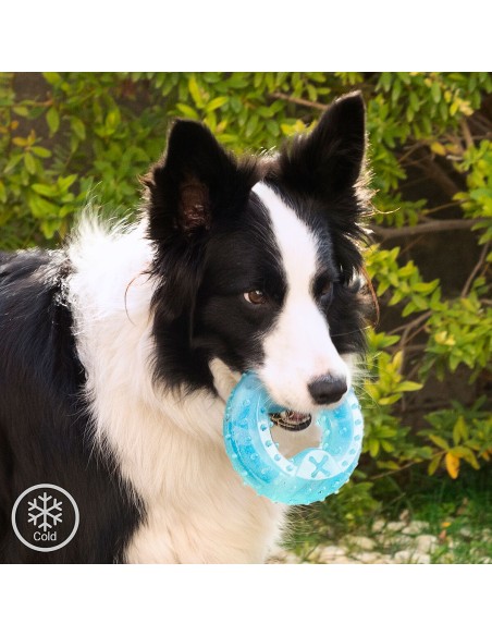 Jouet à Mordre 2 en 1 Congelable pour Animaux de Compagnie Glubiz InnovaGoods