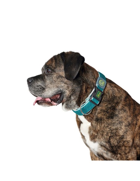 Collier pour Chien Hunter Plus Fil turquoise Turquoise Taille XL (45-70 cm)