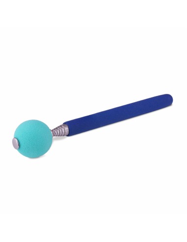 Jouet d'entraînement Coachi Stick Bleu